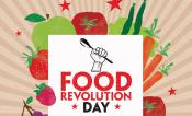 Celebrity Support For Jamie Oliver’s ‘food Revolution Day’